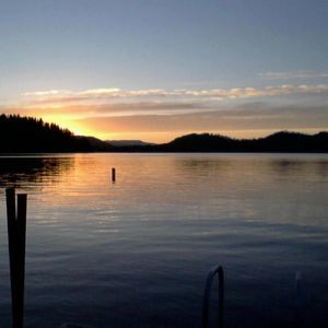 Meet your Posher, Allen